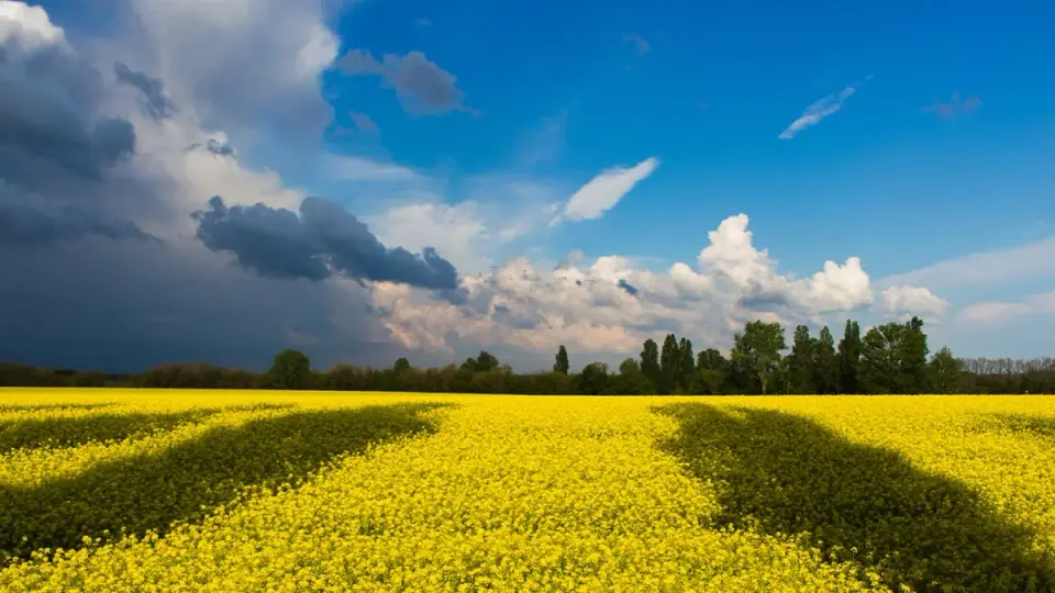 Цікаві факти про Україну