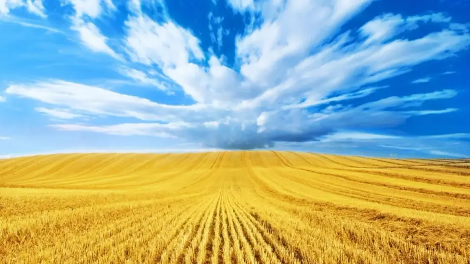 Прислів’я про Україну