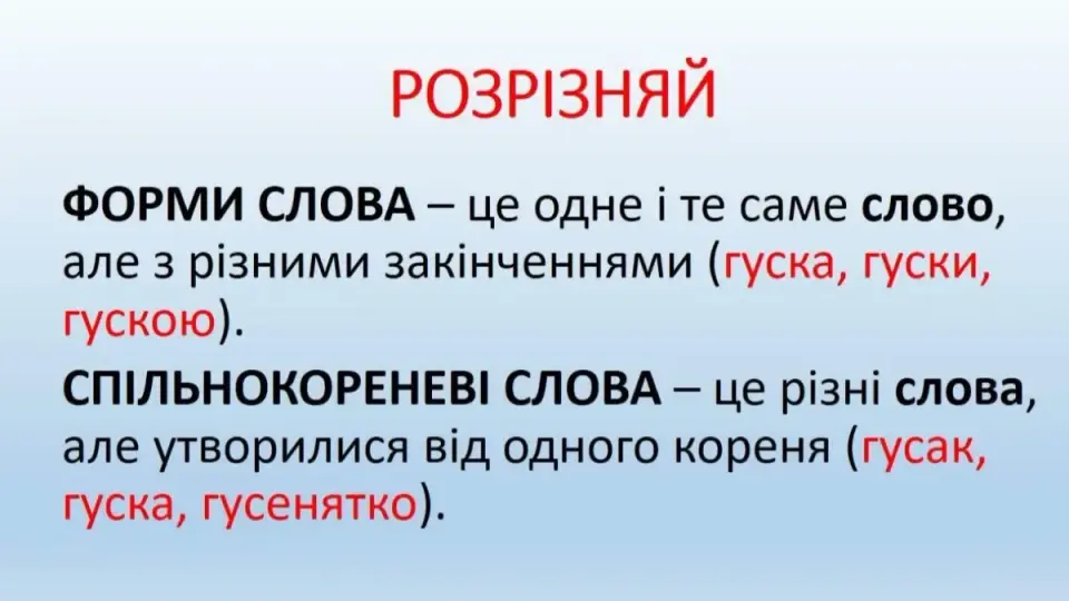 Споріднені слова це що таке