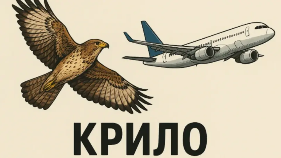 Багатозначні слова приклади