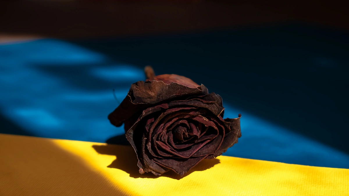 Вірші про війну