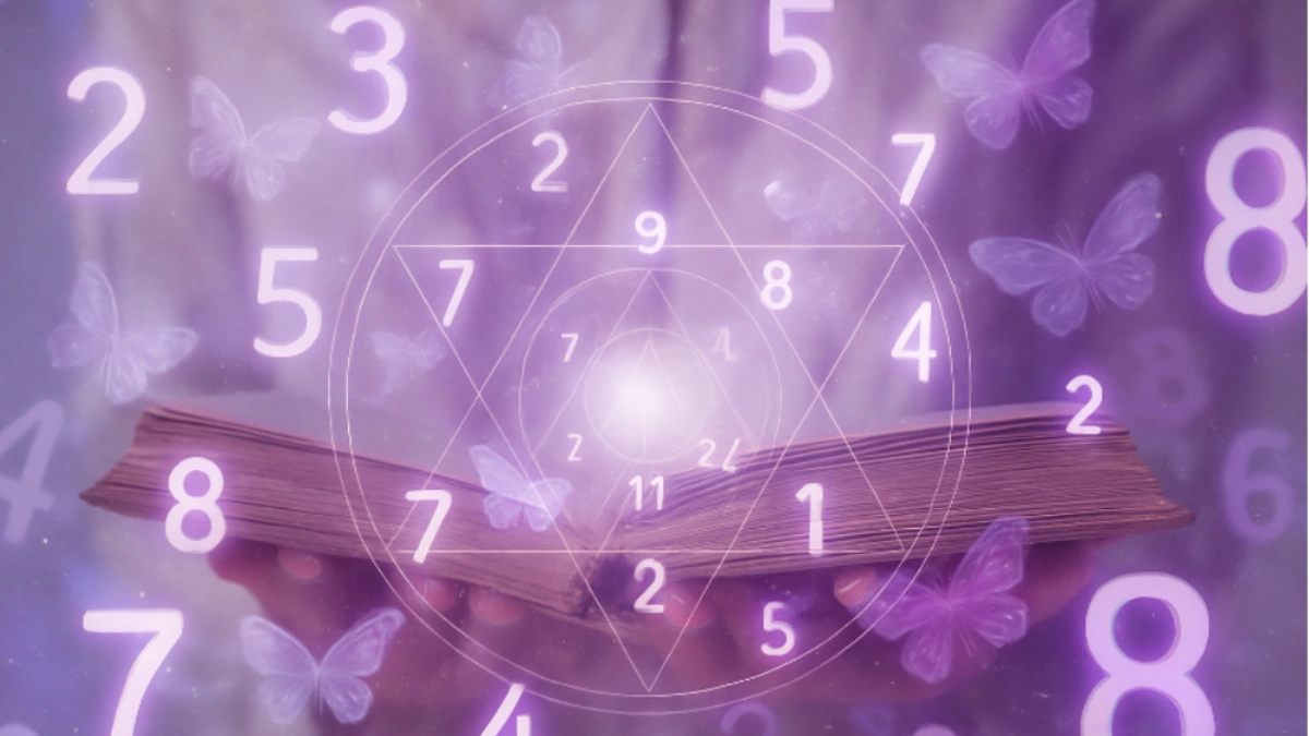 Число долі що це