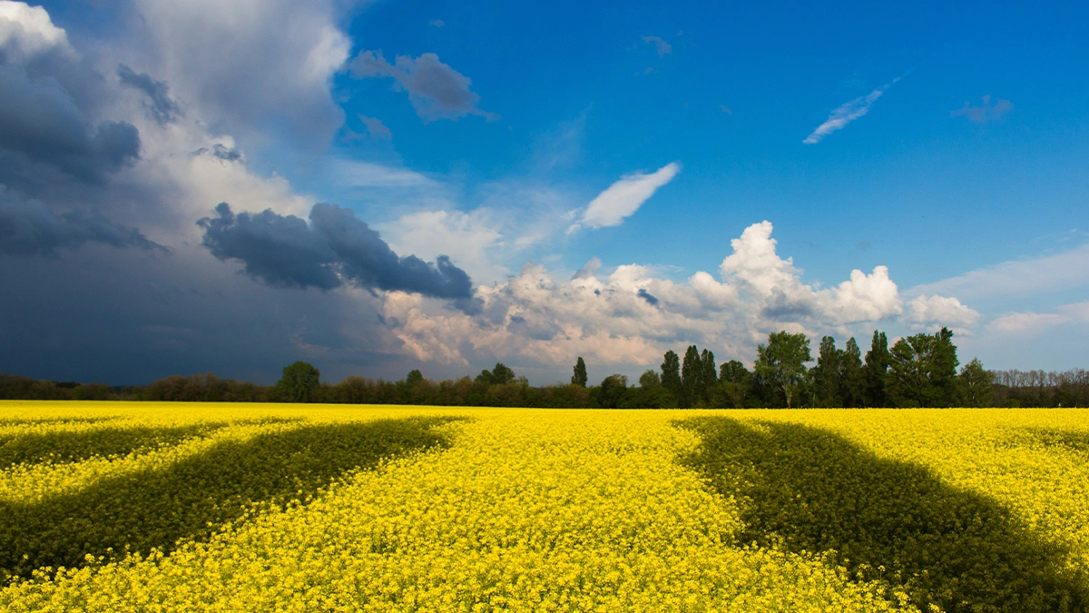 Цікаві факти про Україну